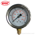 YN60 series back bottom connection pressure gauges